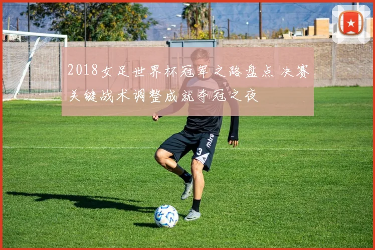2018女足世界杯冠军之路盘点 决赛关键战术调整成就夺冠之夜