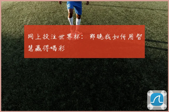 网上投注世界杯：那晚我如何用智慧赢得喝彩