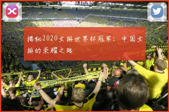 揭秘2020女排世界杯冠军：中国女排的荣耀之路