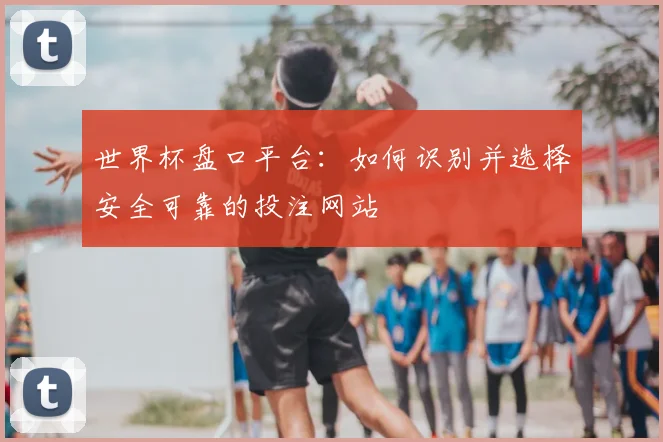 世界杯盘口平台：如何识别并选择安全可靠的投注网站