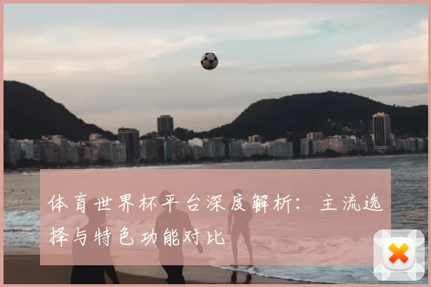 体育世界杯平台深度解析：主流选择与特色功能对比