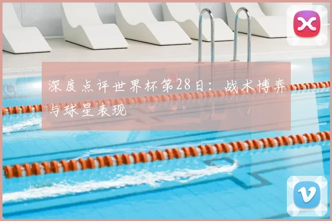 深度点评世界杯第28日：战术博弈与球星表现