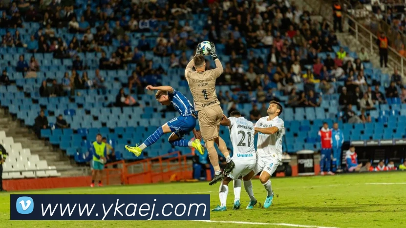 九游官网在线入口APP 封面图